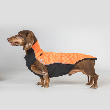 Maglione per cane Eddie Back on Track senza gruccia Maglione per cane Eddie Back on Track senza gruccia