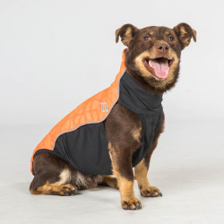 Maglione per cane Eddie Back on Track senza gruccia Maglione per cane Eddie Back on Track senza gruccia