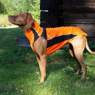 Maglione per cane Eddie alta visibilità Back on Track senza gruccia Maglione per cane Eddie alta visibilità Back on Track senza gruccia