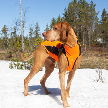 Maglione per cane Eddie alta visibilità Back on Track senza gruccia Maglione per cane Eddie alta visibilità Back on Track senza gruccia