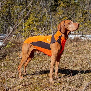 Maglione per cane Eddie alta visibilità Back on Track senza gruccia Maglione per cane Eddie alta visibilità Back on Track senza gruccia