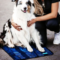 Asciugamano Rinfrescante per cane Cool on Track Back on Track Asciugamano Rinfrescante per cane Cool on Track Back on Track