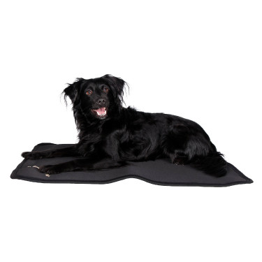 Tappeto per gabbia per cane Back on Track Tappeto per gabbia per cane Back on Track