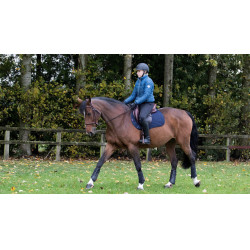 Sottosella LeMieux GP Quadrato Cotone Blu navy Sottosella LeMieux GP Quadrato Cotone Blu navy