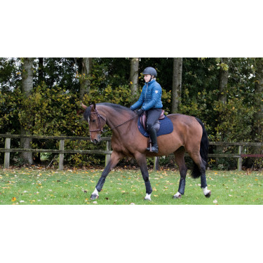 Sottosella LeMieux GP Quadrato Cotone Blu navy Sottosella LeMieux GP Quadrato Cotone Blu navy