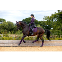 Tappetino LeMieux Suede Dressage Square Blu benetton