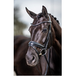 Briglia da dressage Classic LeMieux Nero Briglia da dressage Classic LeMieux Nero