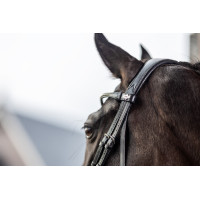 Briglia da dressage Classic LeMieux Marrone