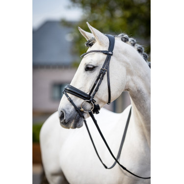 Briglia da dressage Classic LeMieux Nero Briglia da dressage Classic LeMieux Nero