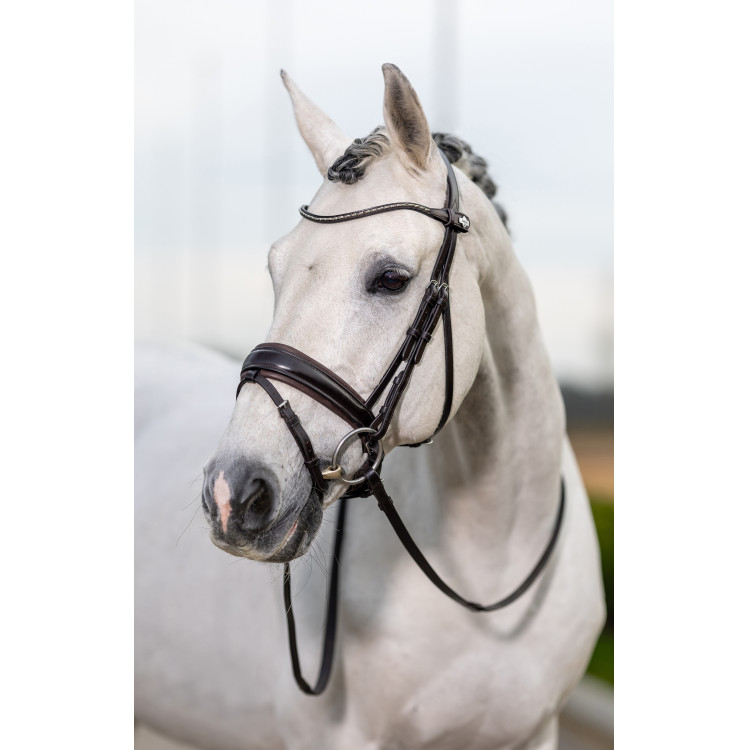 Briglia da dressage Classic LeMieux Briglia da dressage Classic LeMieux