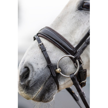 Briglia da dressage Classic LeMieux Briglia da dressage Classic LeMieux