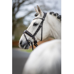 Briglia da dressage Classic LeMieux Briglia da dressage Classic LeMieux