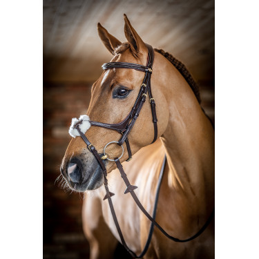 Bridon LeMieux Grackle Avana Marrone