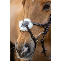 Bridon LeMieux Grackle Avana Marrone