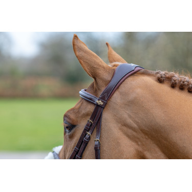 Bridon LeMieux Grackle Avana Marrone