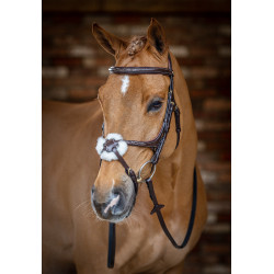 Bridon LeMieux Grackle Avana Marrone