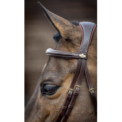 Briglia combinata LeMieux Competition Avana Marrone