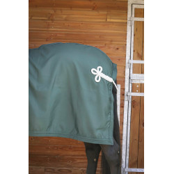 Camicia Paddock Sports Presentazione Verde Camicia Paddock Sports Presentazione Verde