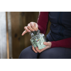 Pietra da leccare Likit