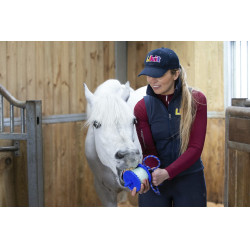 Pietra da leccare Likit