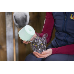 Pietra da leccare Likit