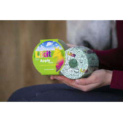 Pietra da leccare Likit