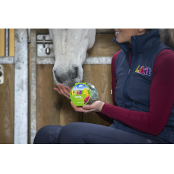 Pietra da leccare Likit