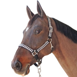 Set capezza + lunghina Pied de poule Canter Set capezza + lunghina Pied de poule Canter