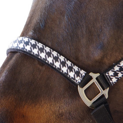 Set capezza + lunghina Pied de poule Canter Set capezza + lunghina Pied de poule Canter