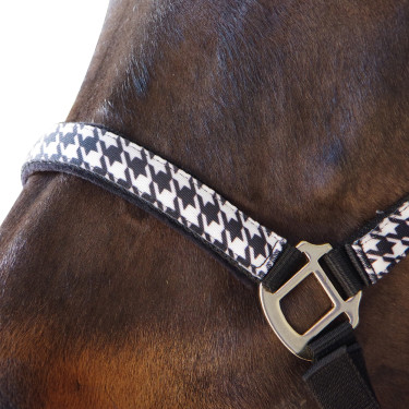 Set capezza + lunghina Pied de poule Canter Set capezza + lunghina Pied de poule Canter