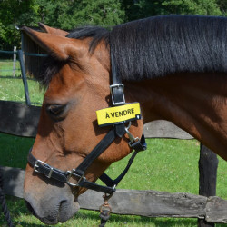 HippiCode velcro HippiCode velcro