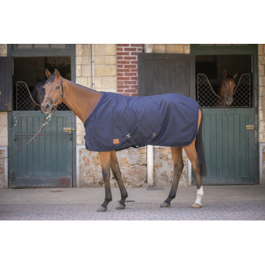 Camicia Paddock Sports Cotone Mesh Camicia Paddock Sports Cotone Mesh