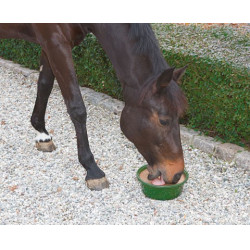Delizia Blocco da Leccare Bronchiale Delizia Blocco da Leccare Bronchiale