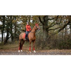Sottosella LeMieux Loire Classic Dressage Square Sottosella LeMieux Loire Classic Dressage Square