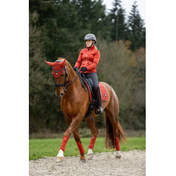 Sottosella LeMieux Loire Classic Dressage Square Sottosella LeMieux Loire Classic Dressage Square