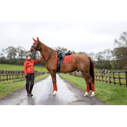 Sottosella LeMieux Loire Classic Dressage Square Sottosella LeMieux Loire Classic Dressage Square