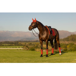 Sottosella LeMieux Loire Memory Dressage Square Sienna Rosso