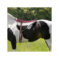 Tappeto da equitazione a... Tappeto da equitazione a...