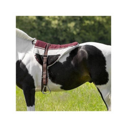 Tappeto da equitazione a pelo Norton