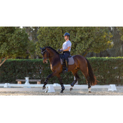 Sottosella da addestramento LeMieux Le Cool Grip Grigio Sottosella da addestramento LeMieux Le Cool Grip Grigio