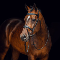 Filet Sion met teugels Horze Nero