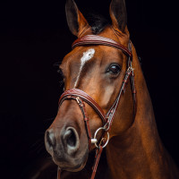 Filet Sion met teugels Horze Nero Filet Sion met teugels Horze Nero