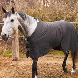 Coperta asciugante rinfrescante EDIZIONE LIMITATA Horze Grigio scuro Coperta asciugante rinfrescante EDIZIONE LIMITATA Horze Grigio scuro