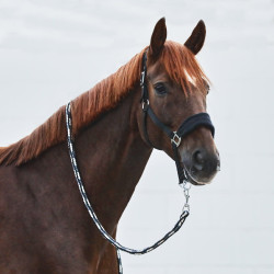 Cavezzone Kiel con imbottitura in pile Horze Nero