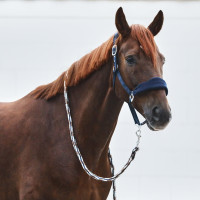 Cavezzone Kiel con imbottitura in pile Horze Nero Cavezzone Kiel con imbottitura in pile Horze Nero