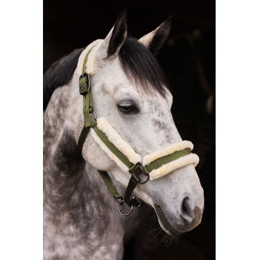 Capestro Marquess con fodera in pelliccia sintetica Horze Capestro Marquess con fodera in pelliccia sintetica Horze