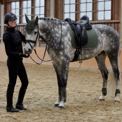 Stinchiere Adepto Horze Scarabeo verde kaki Stinchiere Adepto Horze Scarabeo verde kaki