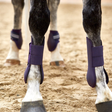 Stinchiere Adepto Horze Cassis Viola Stinchiere Adepto Horze Cassis Viola