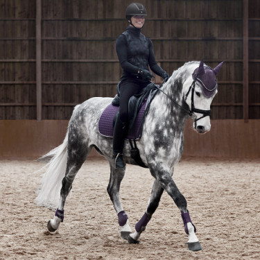 Stinchiere Adepto Horze Cassis Viola Stinchiere Adepto Horze Cassis Viola