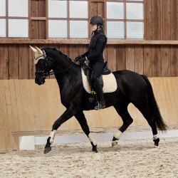 Stinchiere Adepto Horze Stinchiere Adepto Horze